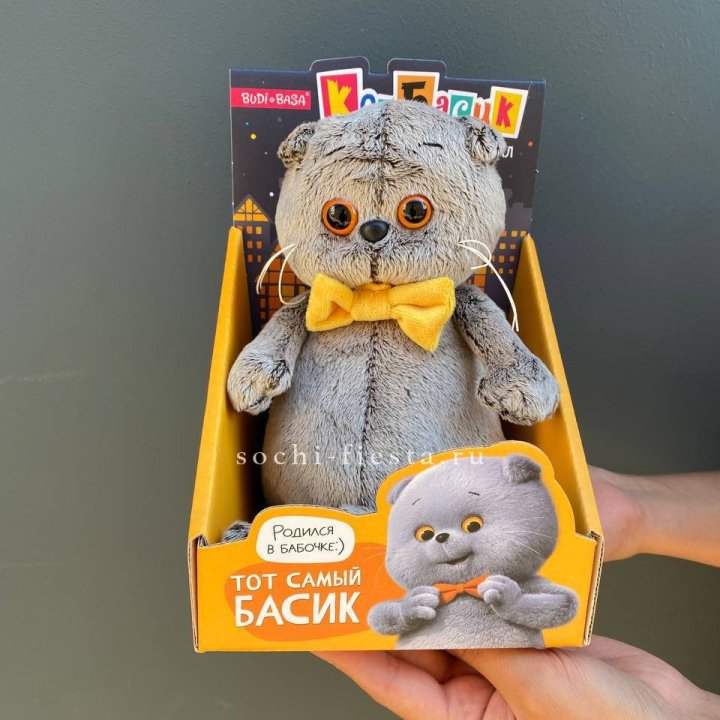 Кот Басик с бабочкой в Кирове