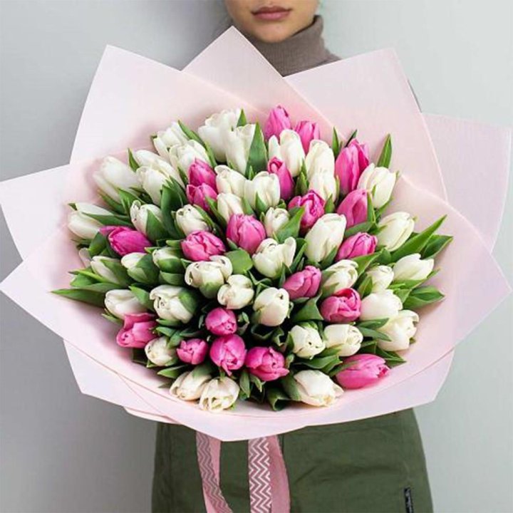 61 бело-розовый тюльпан в Кирове