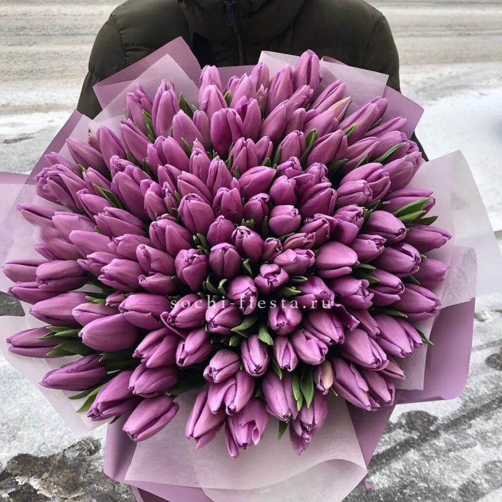 101 сиреневый тюльпан в Кирове