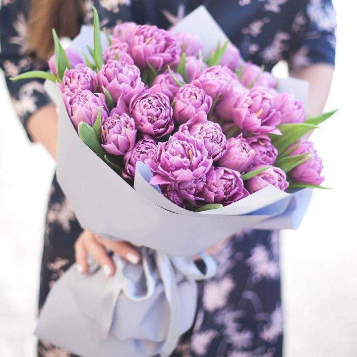 Тюльпаны "Пионс" в Кирове