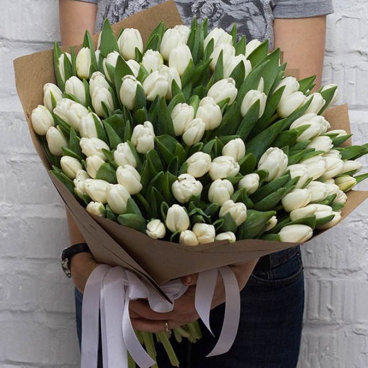 101 тюльпан сноу в Кирове