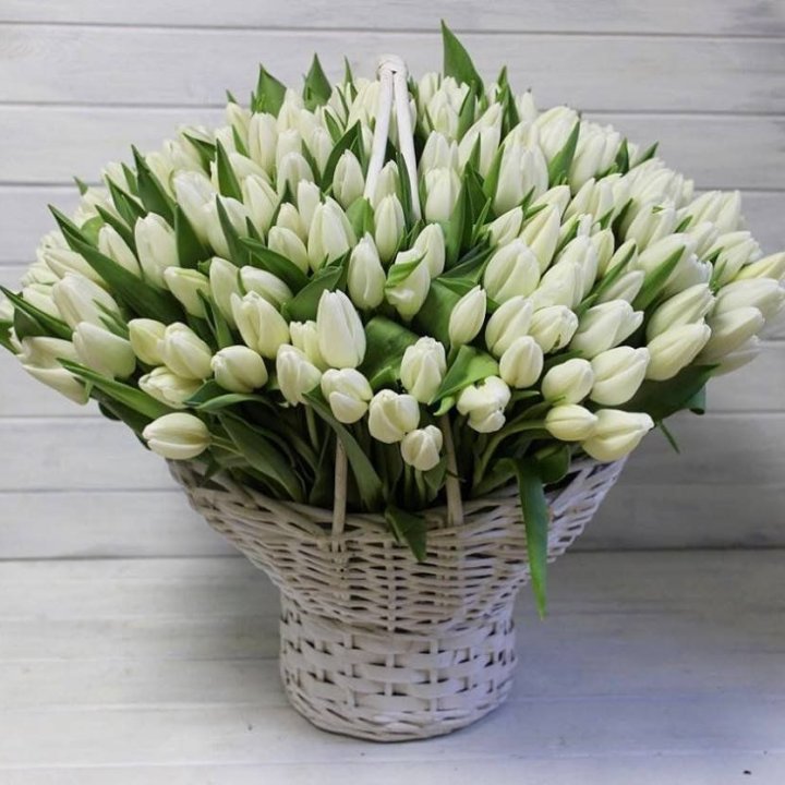 Корзина из 151 тюльпана в Кирове