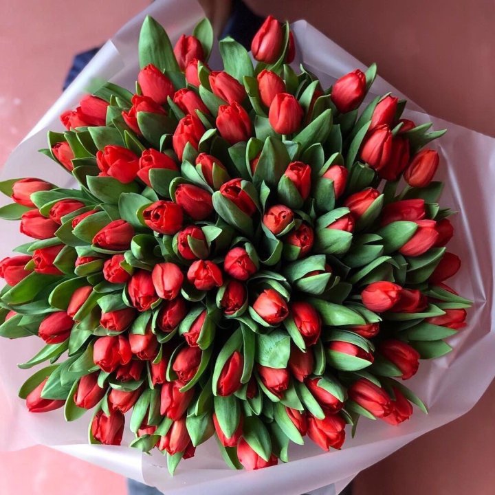 101 красный тюльпан в Кирове